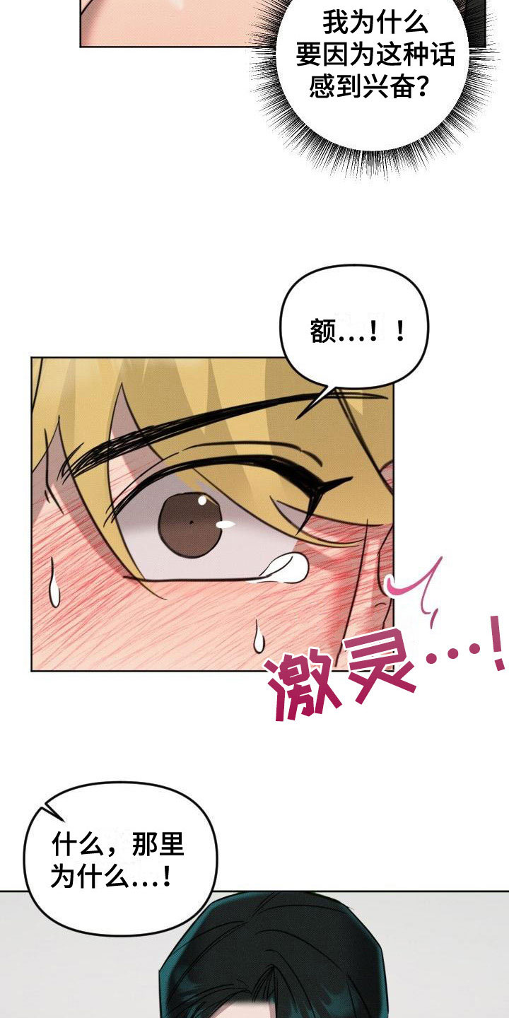 第11章：真是疯子21