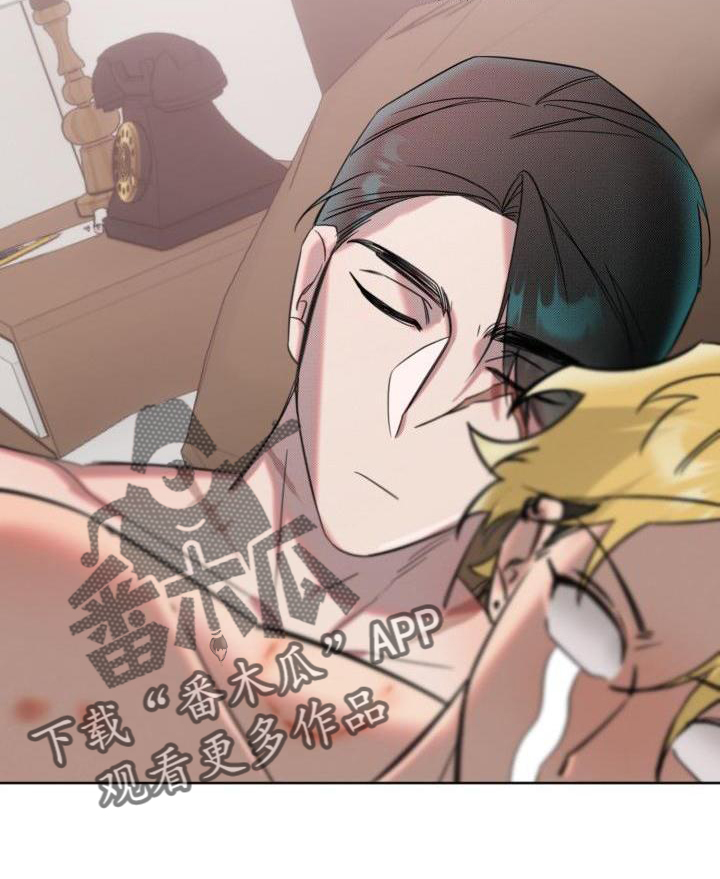 第18章：承认19