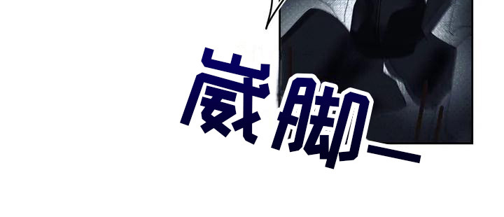 第1章：盗贼13