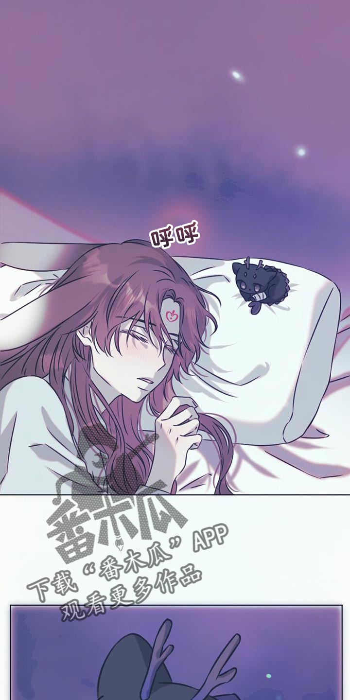 第62章：你还是当兔子吧12