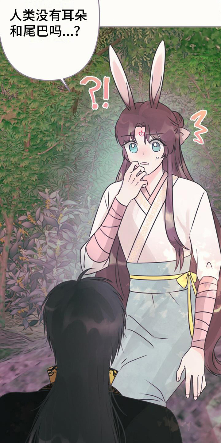 第24章：消除耳朵8