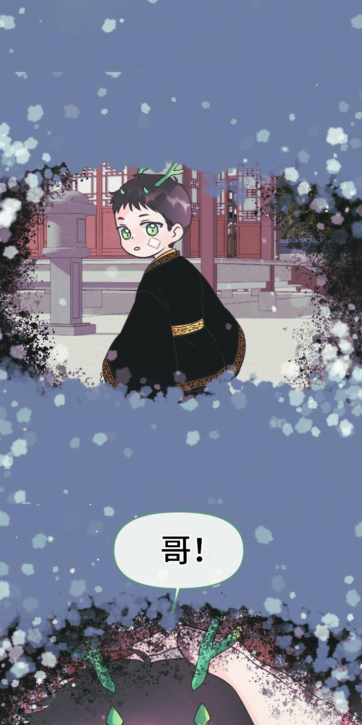 第14章：好奇17