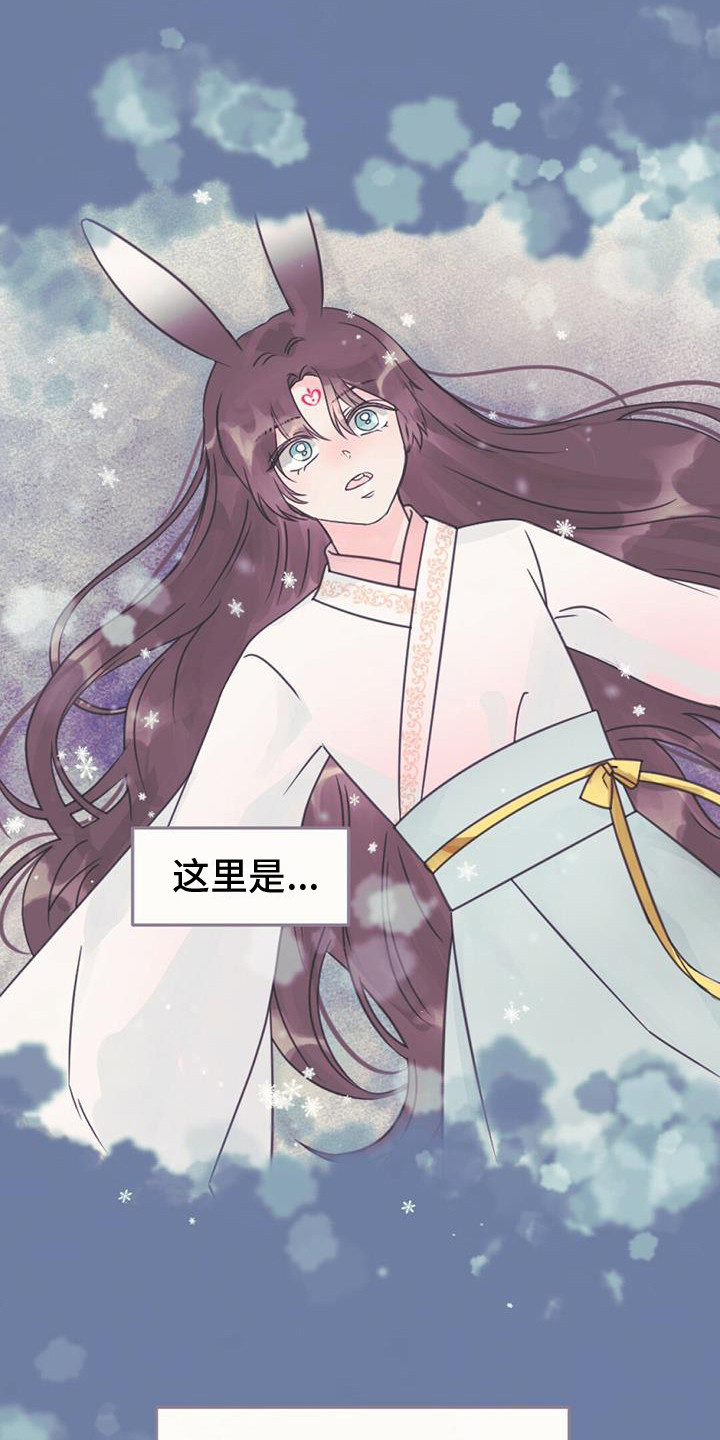 第25章：吸收力量15