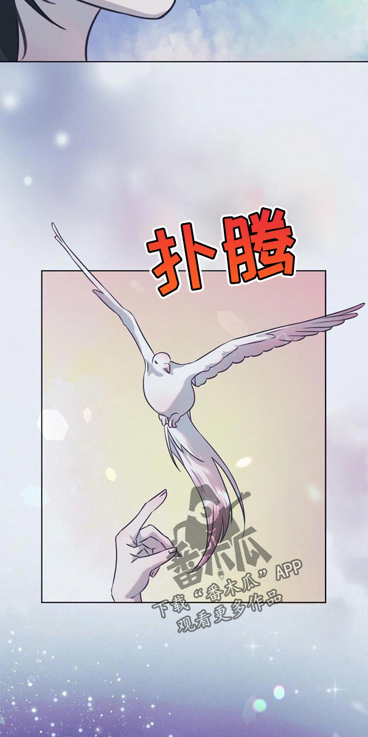 第56章：稍微走走11