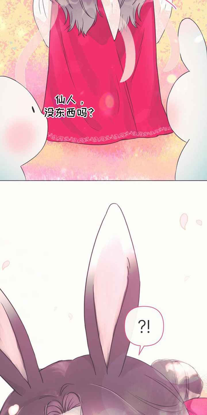第1章：幼龙5