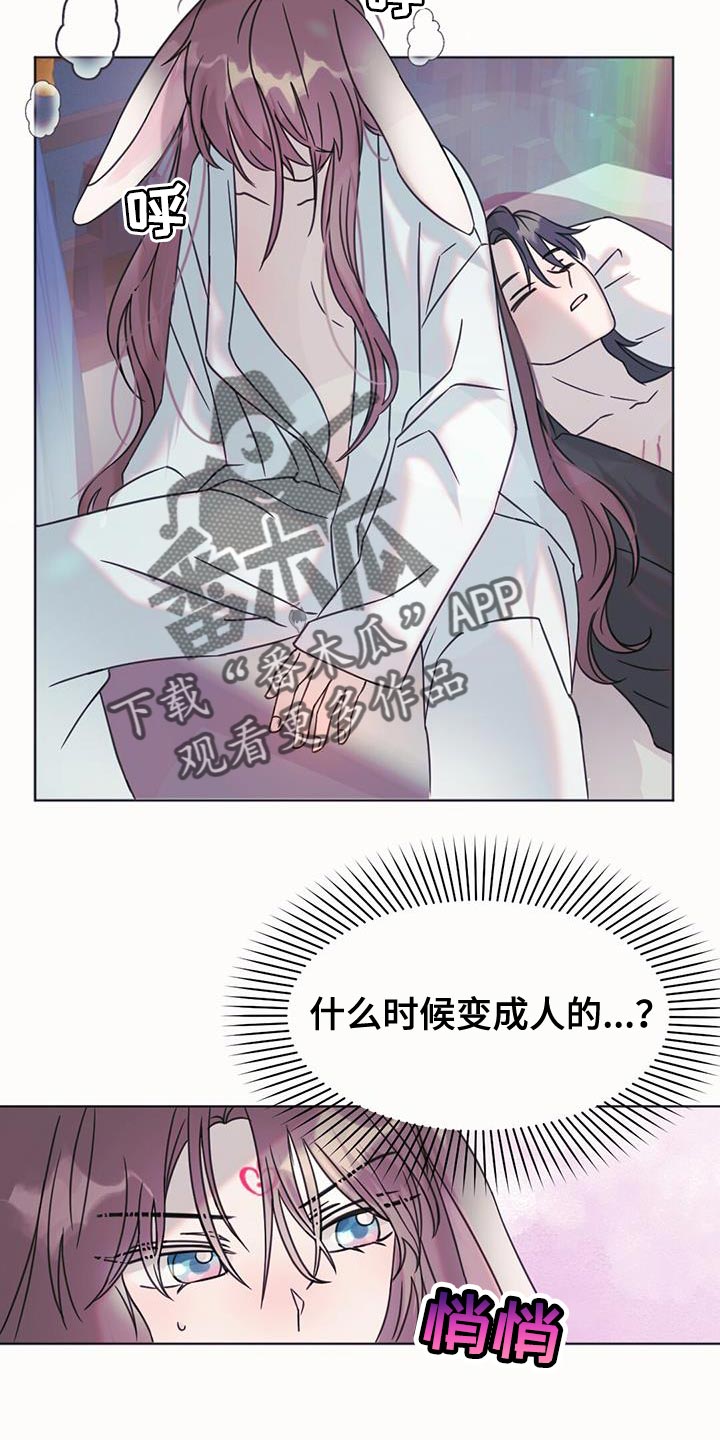 第48章：庆典9