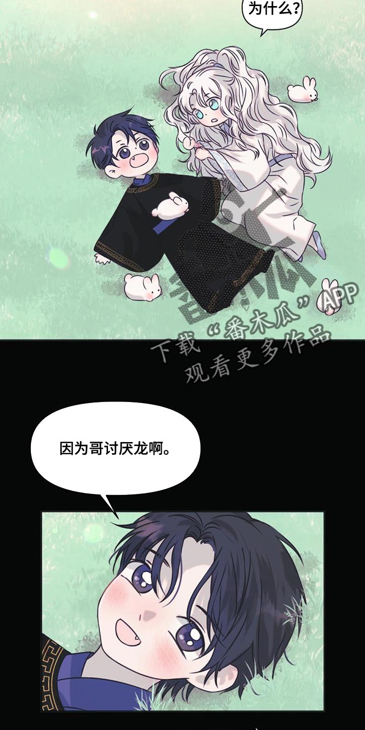 第62章：你还是当兔子吧16