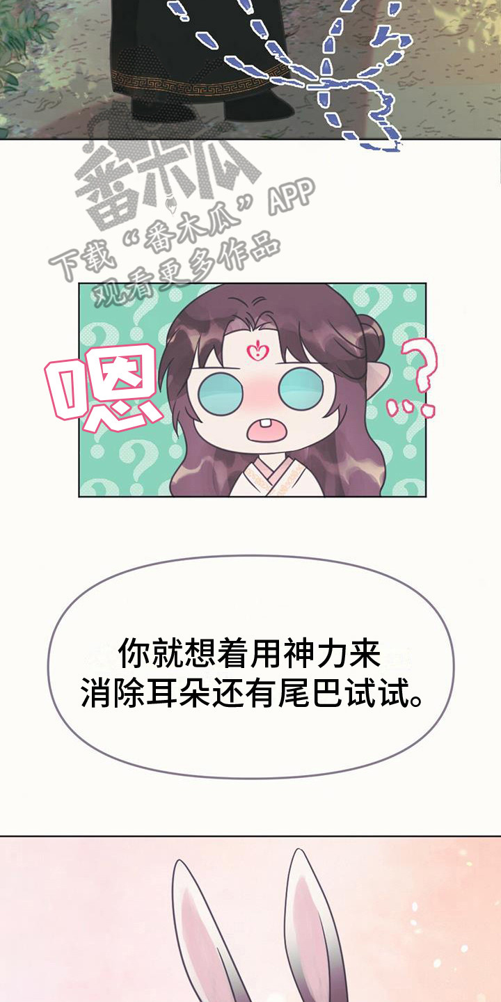 第24章：消除耳朵13