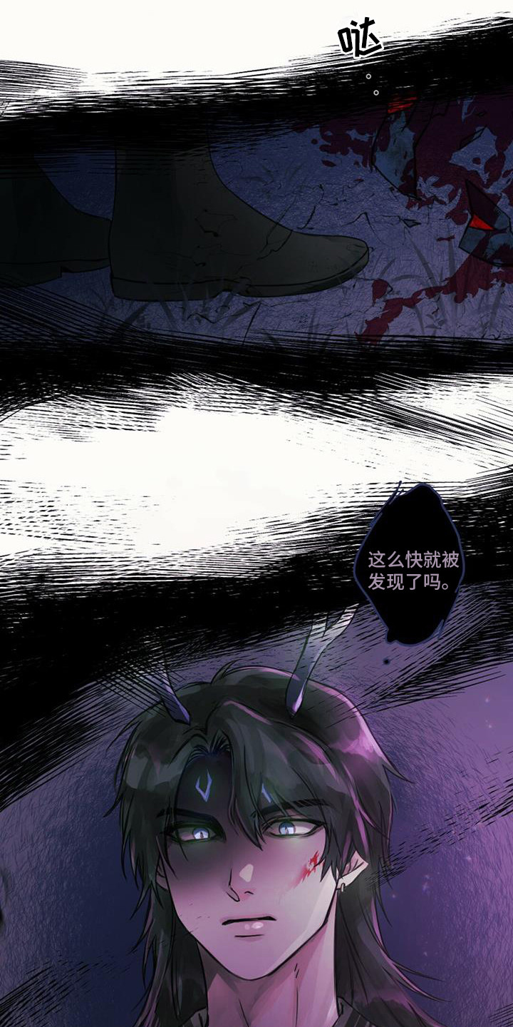 第11章：装可爱11