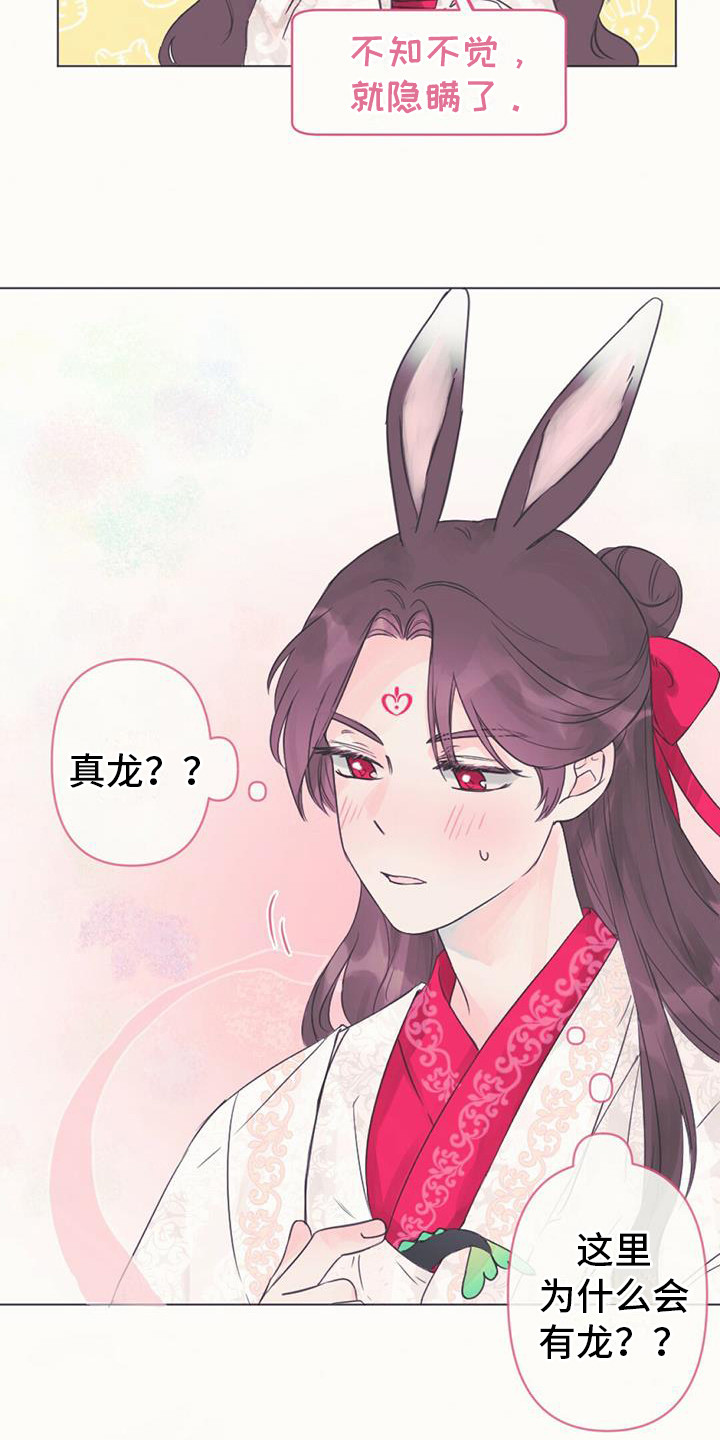 第1章：幼龙11