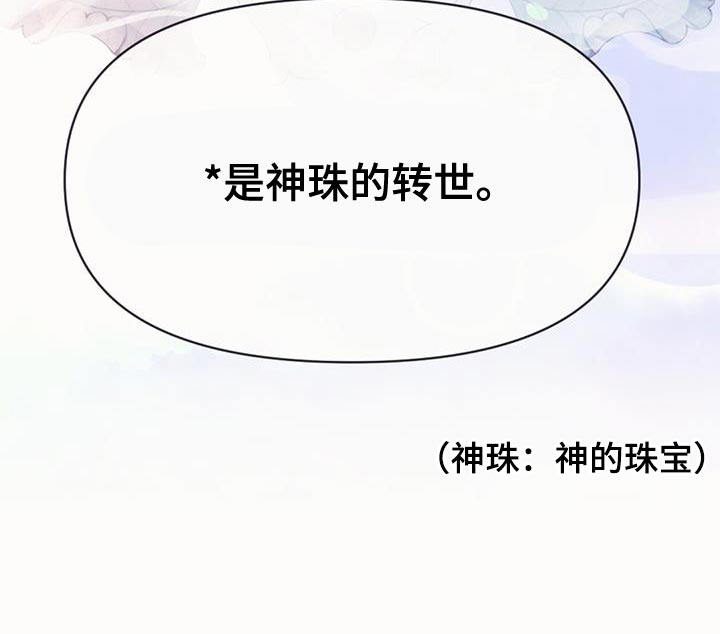 第67章：神珠的转世23