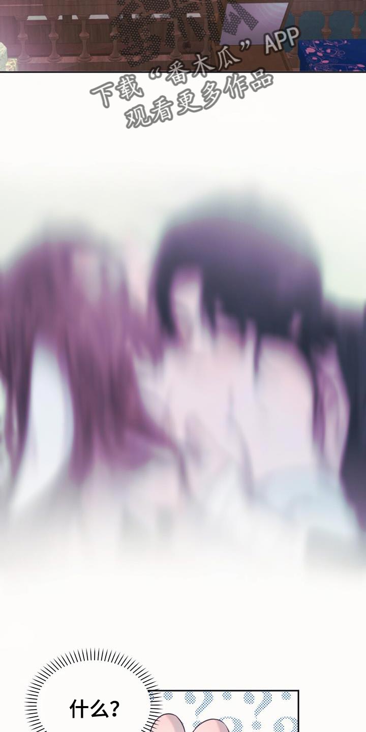 第63章：只为了我出生的15