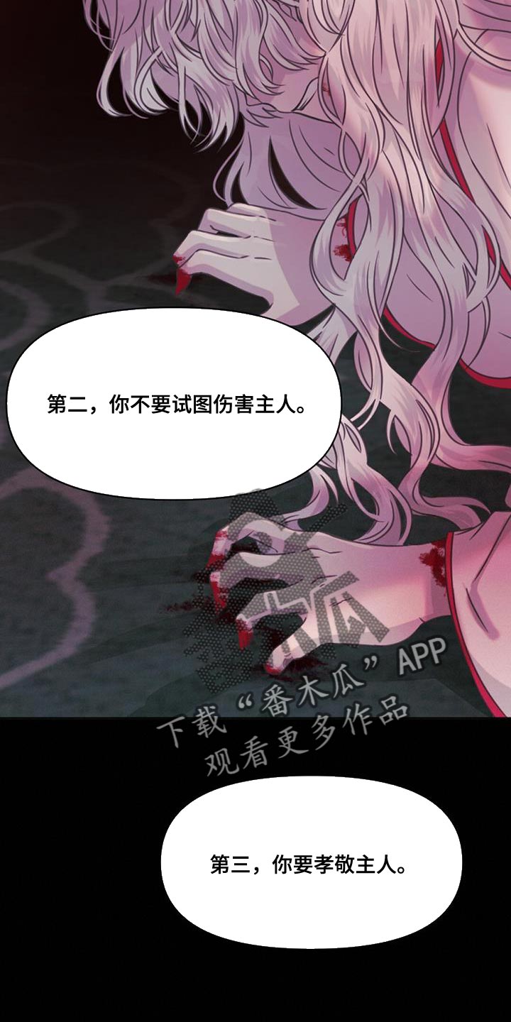 第84章：道具15