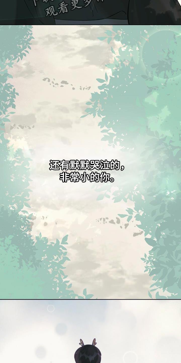 第40章：假象16