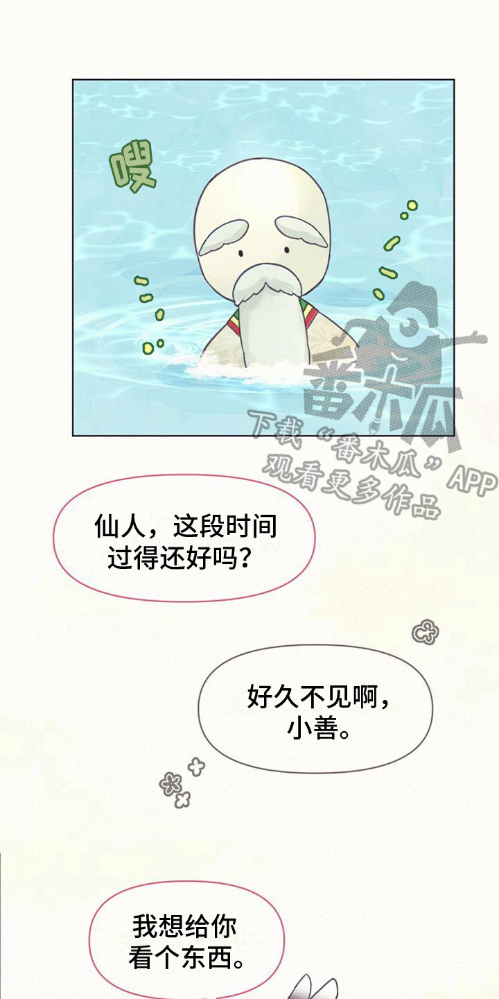 第5章：长不大14