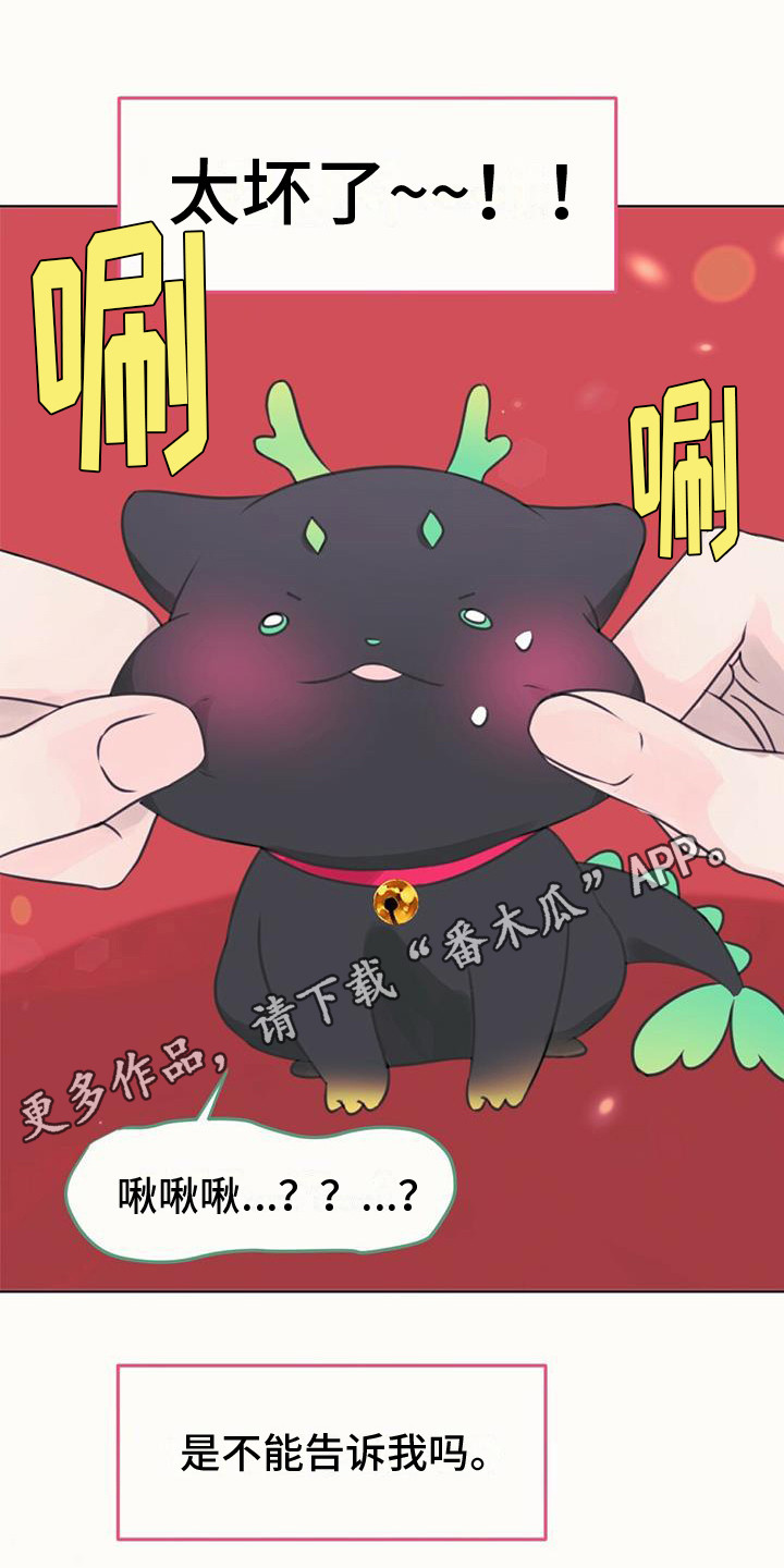 第14章：好奇10