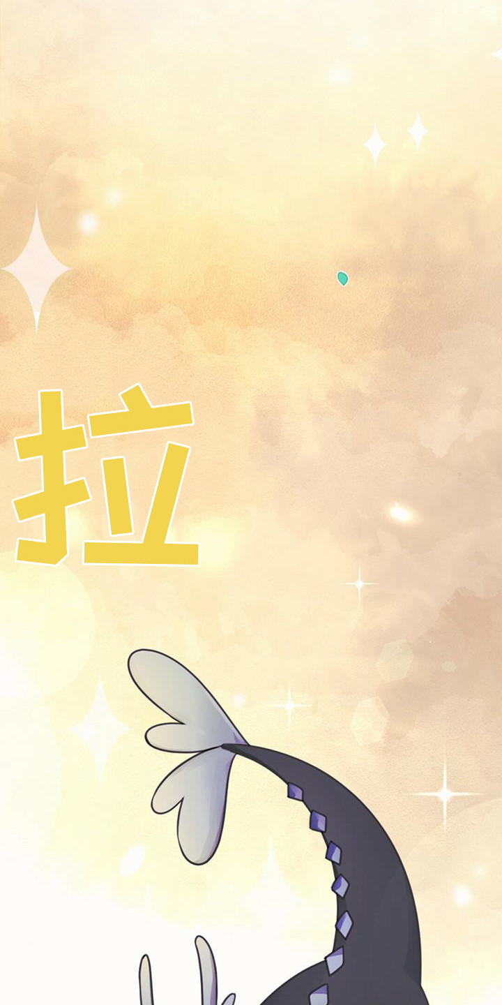 第21章：查找资料14