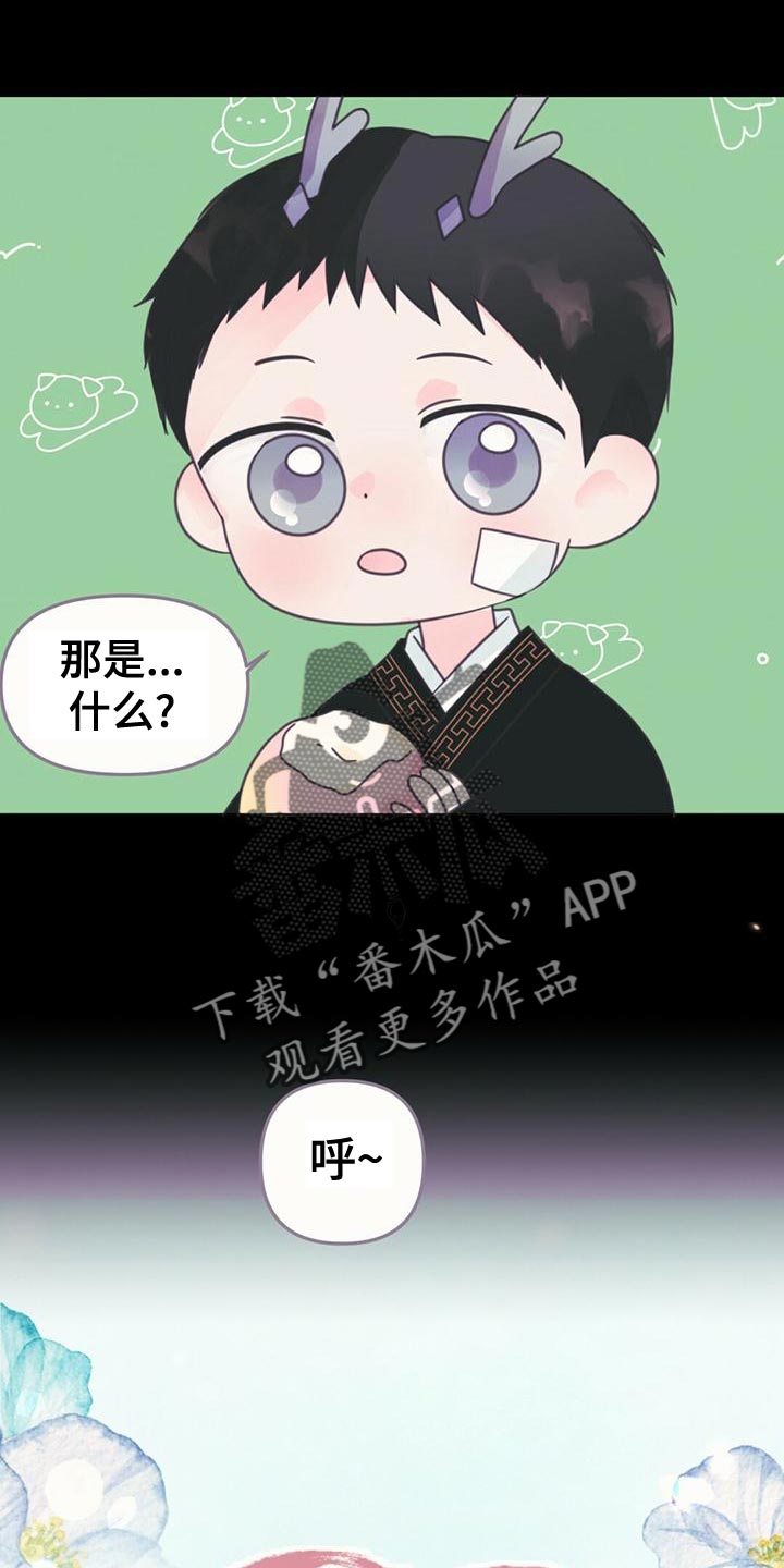 第31章：利用17