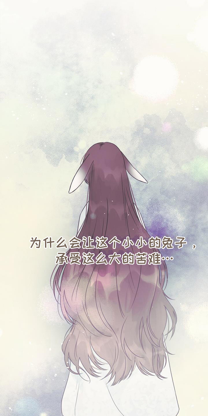 第21章：查找资料5