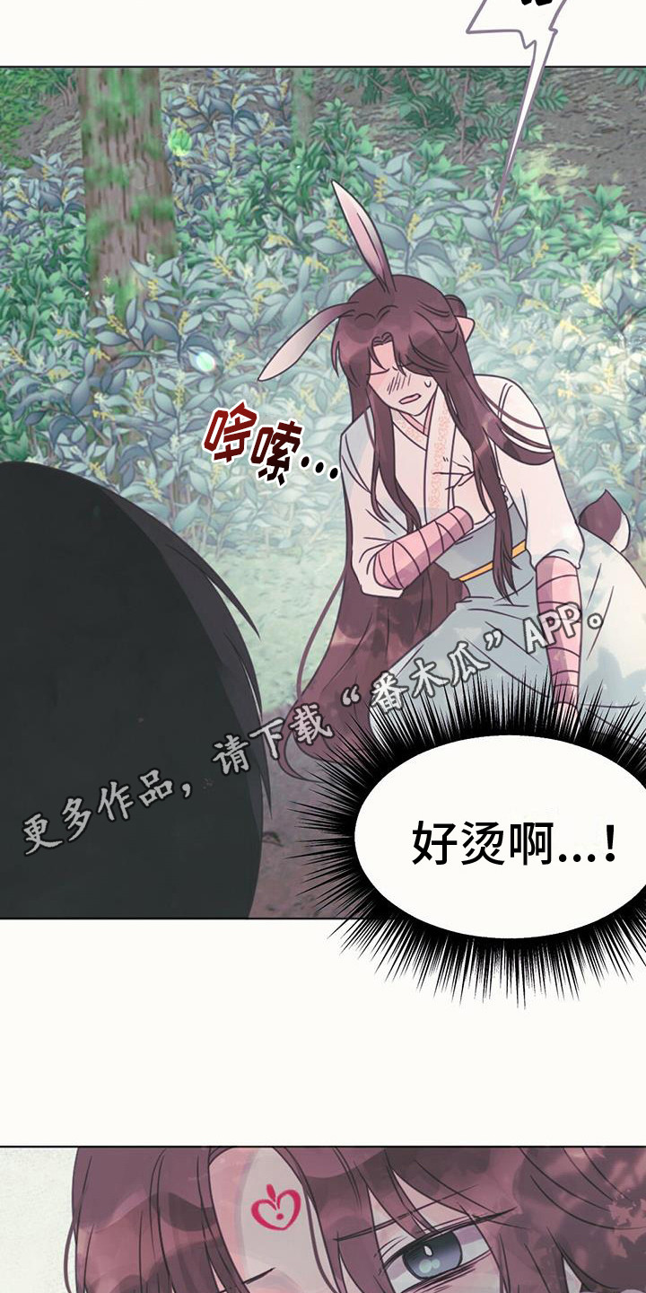 第25章：吸收力量11