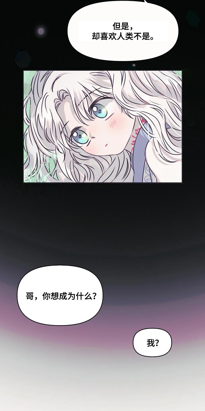 第62章：你还是当兔子吧17