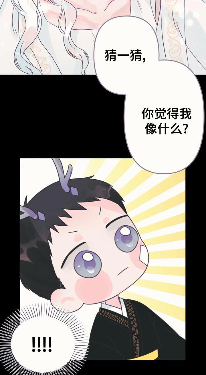 第31章：利用19