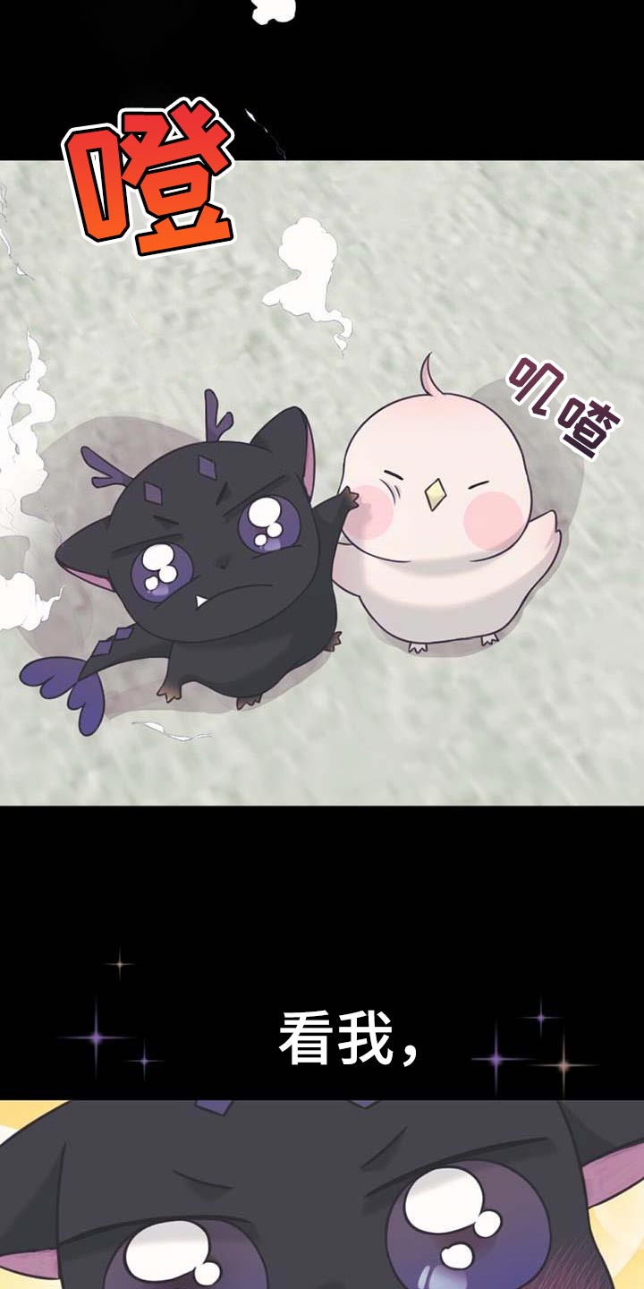 第75章：起名字16