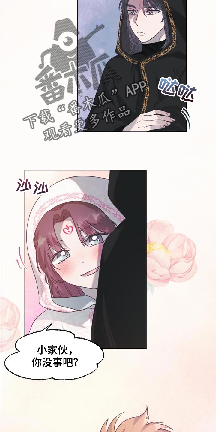 第41章：偷窃12