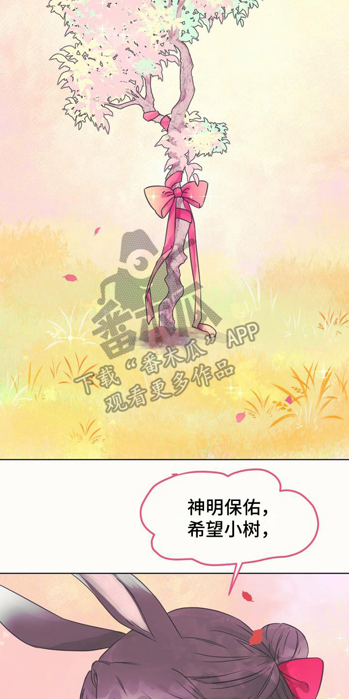 第4章：小树苗20
