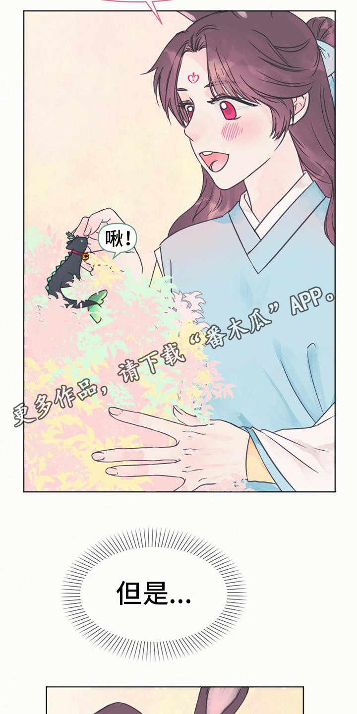 第5章：长不大10