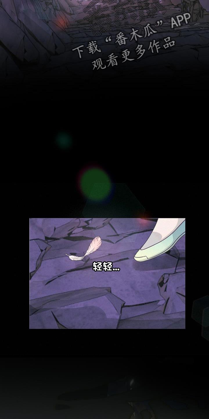 第88章：纠缠6