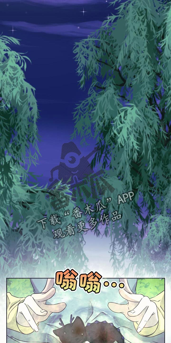 第70章：强盗10