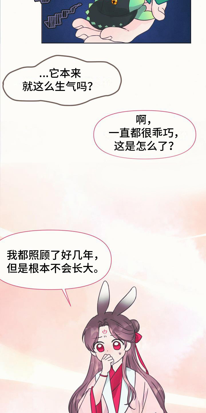 第5章：长不大16
