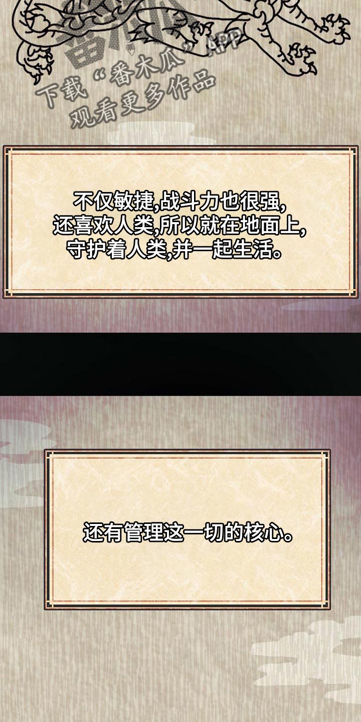 第36章：龙的国家7