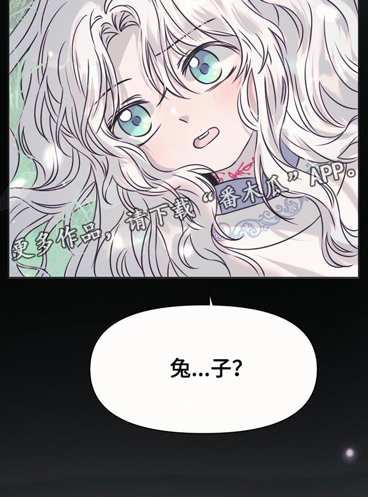 第62章：你还是当兔子吧20