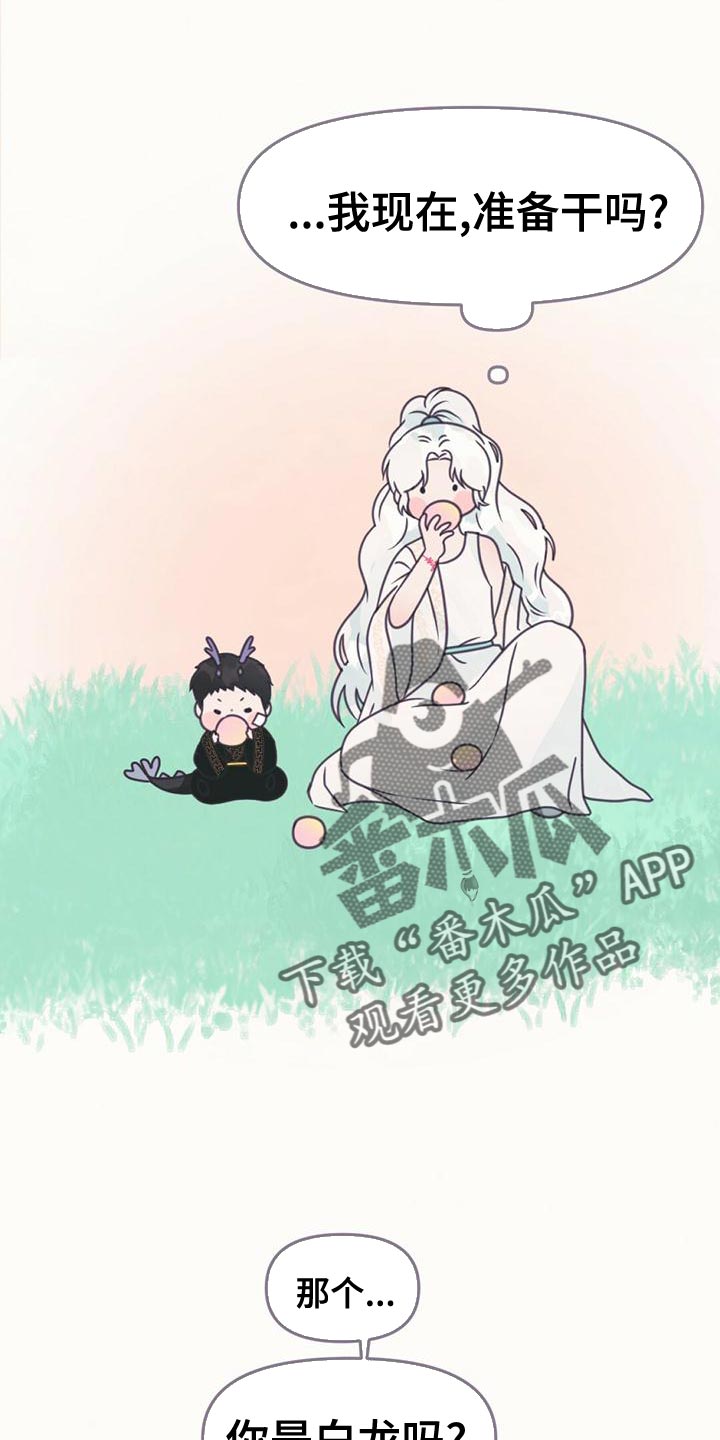 第31章：利用13