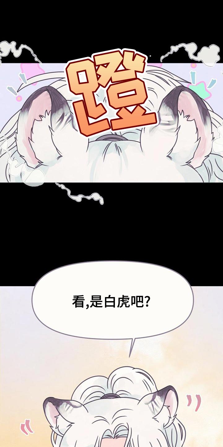 第31章：利用22