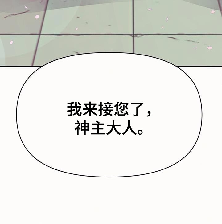 第64章：我来接您了20