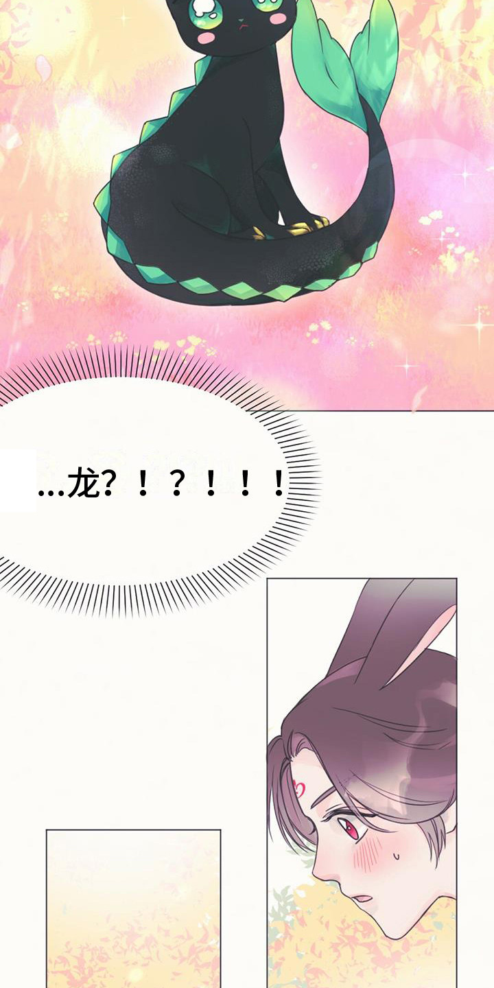 第1章：幼龙7