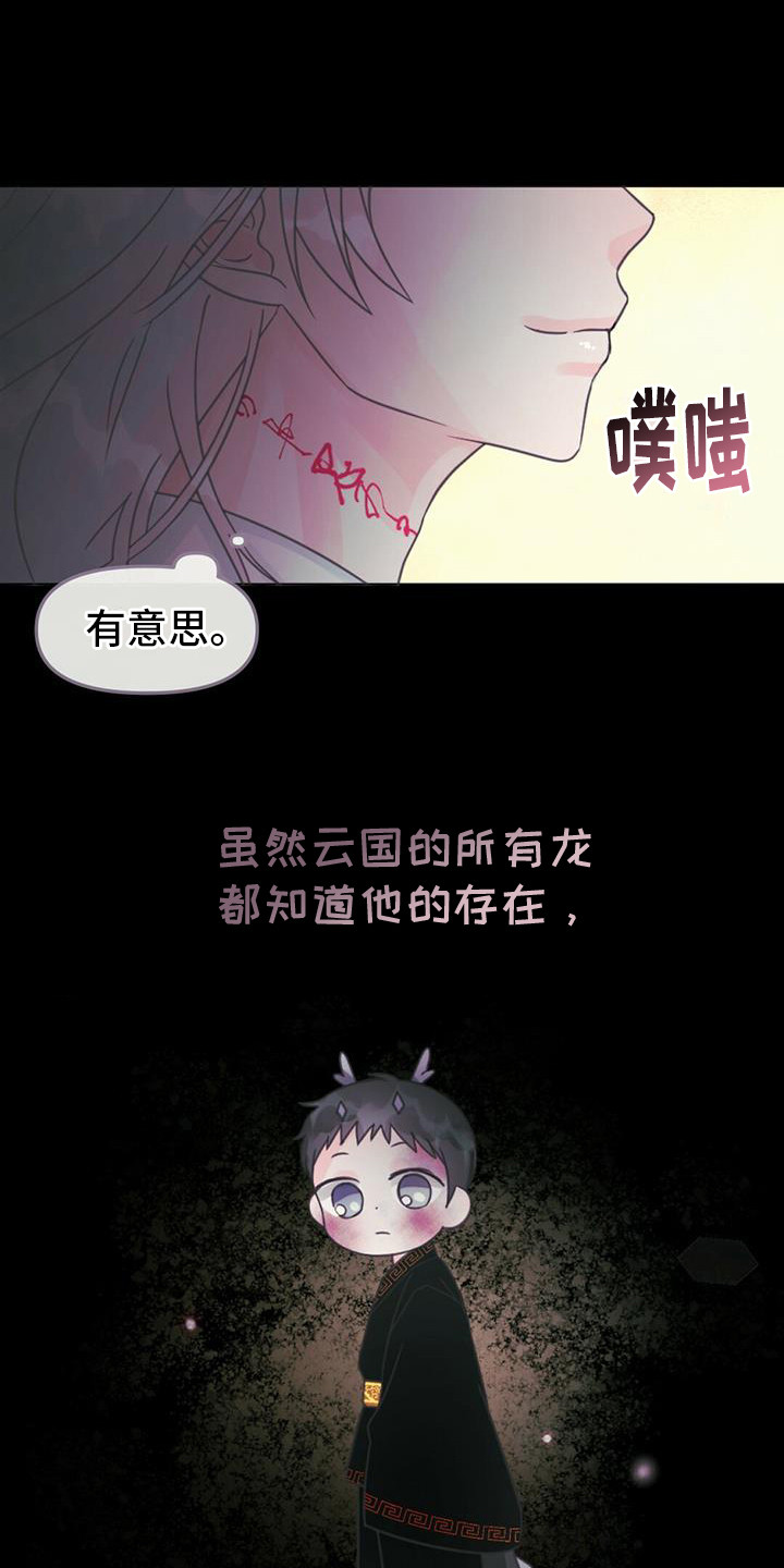 第28章：产生兴趣11