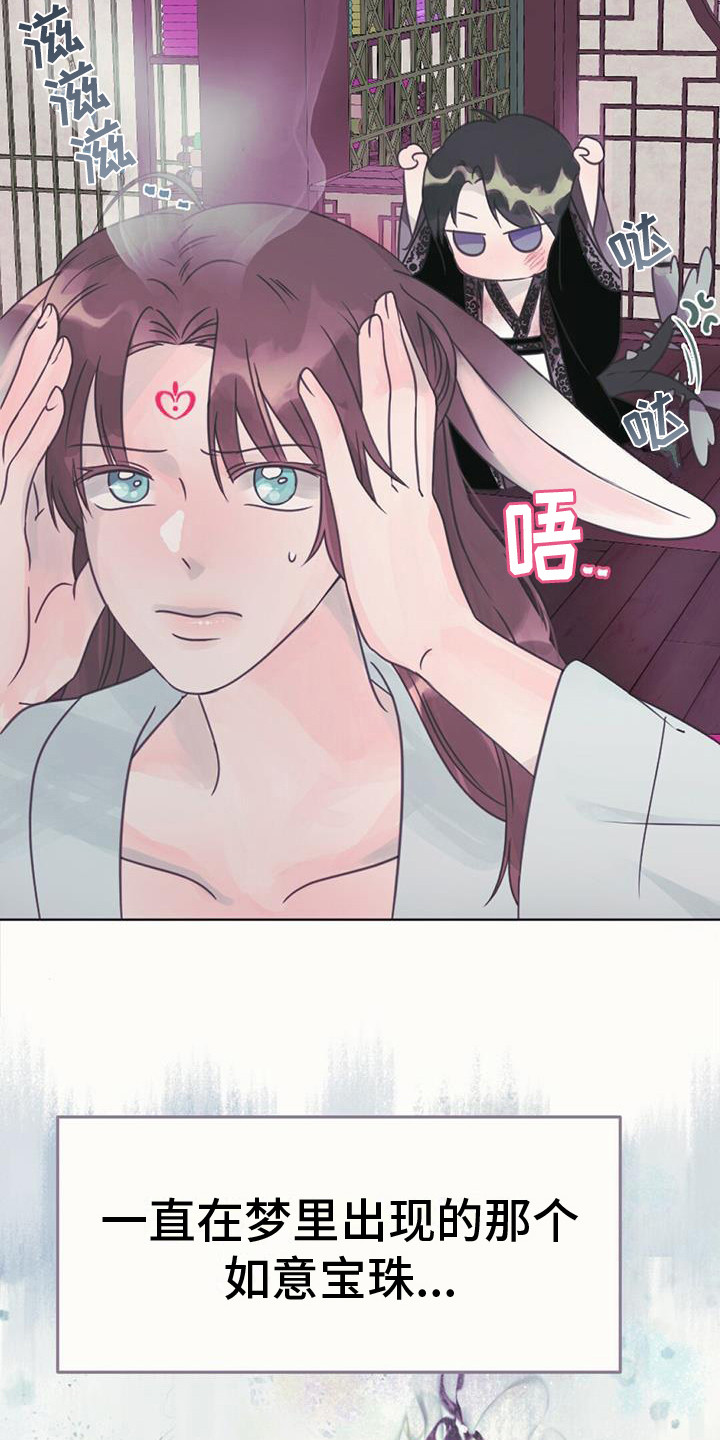 第19章：如意珠5