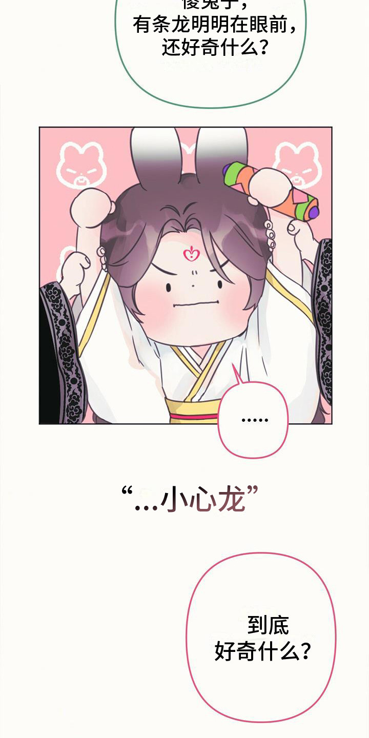 第13章：相似的人20