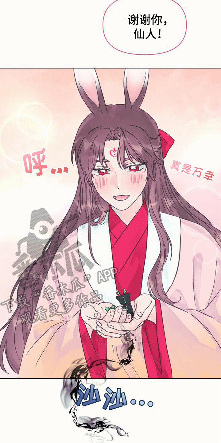 第5章：长不大20