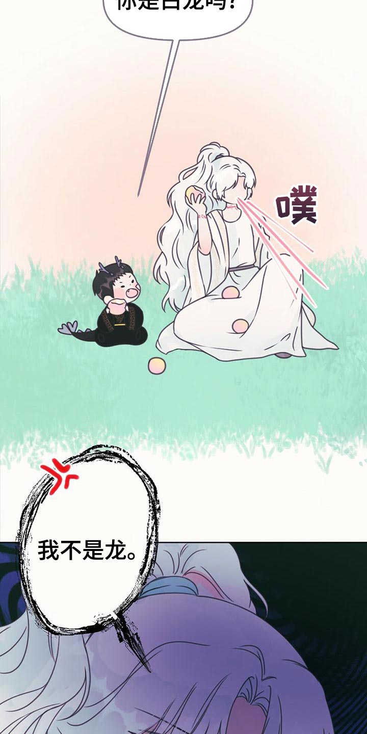 第31章：利用14