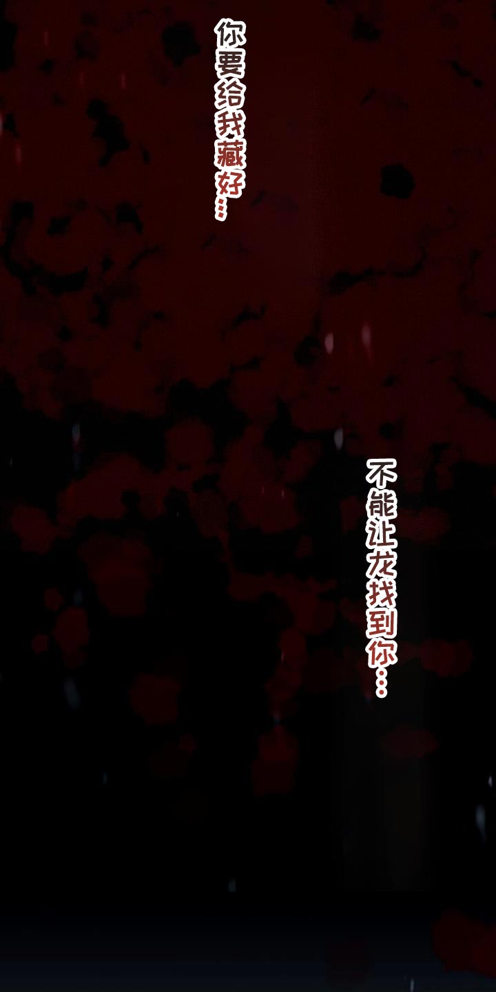 第52章：相同的路24