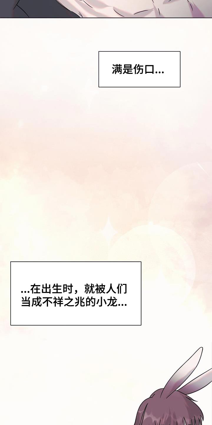 第48章：庆典12