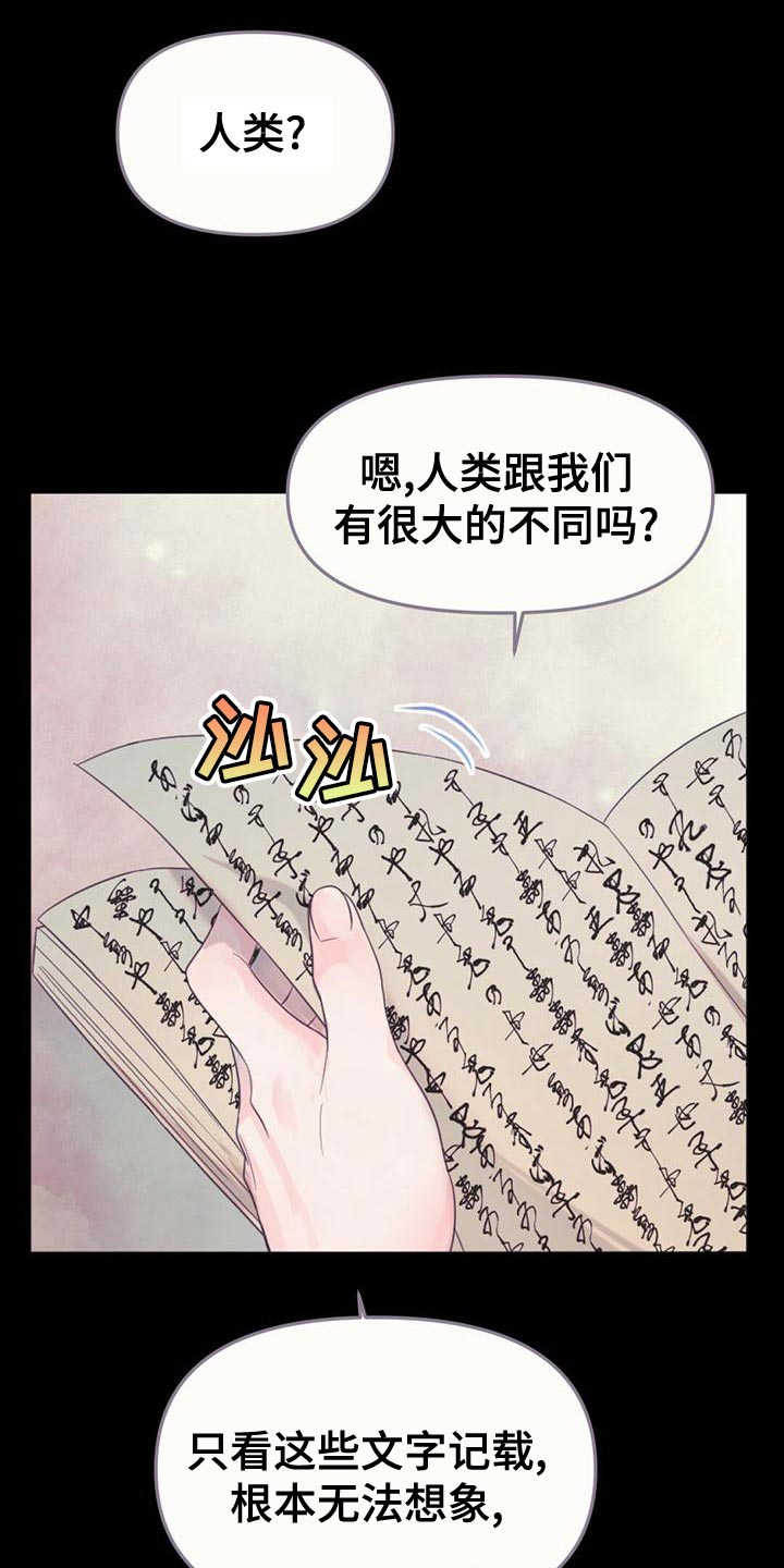第35章：去人界玩吧25