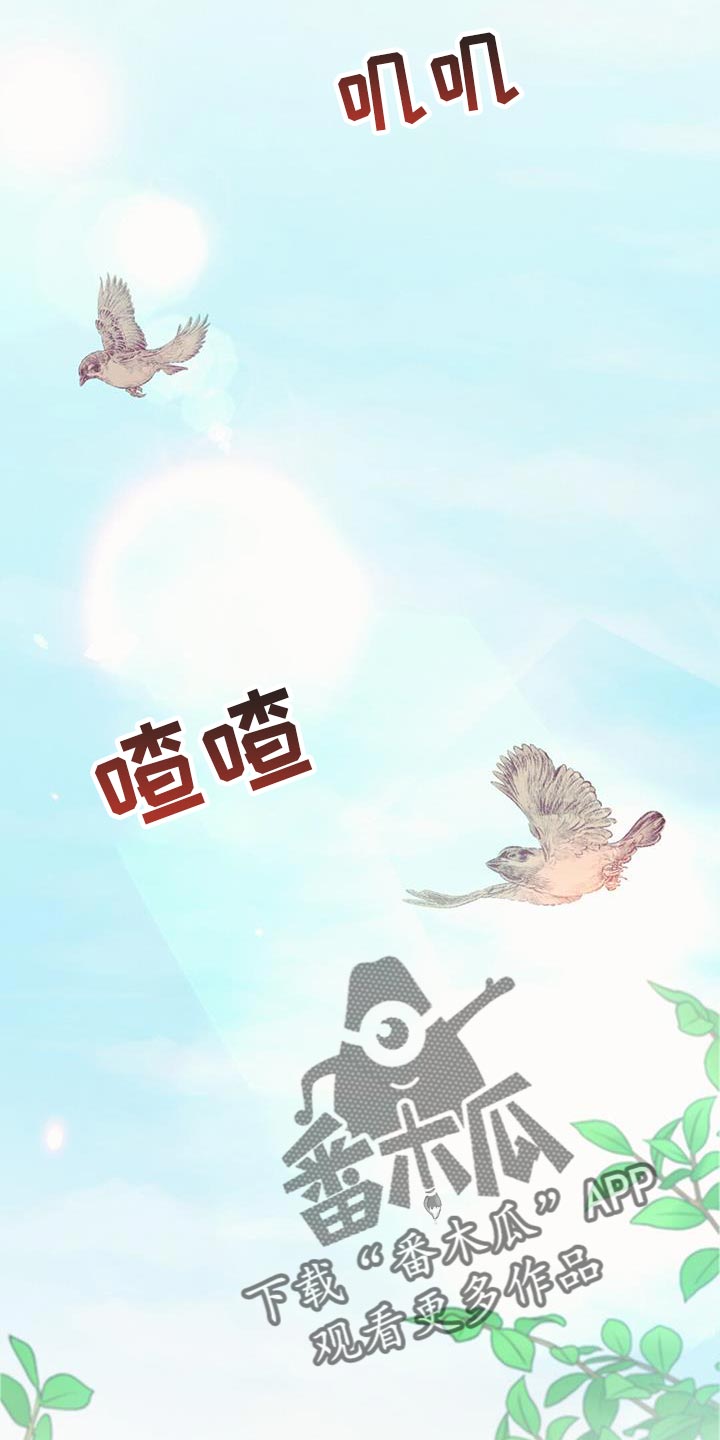 第48章：庆典5