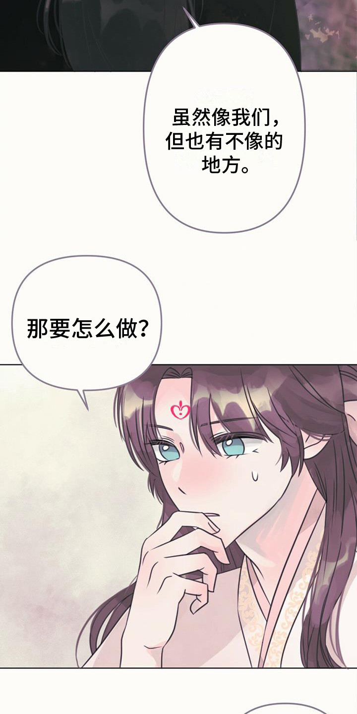 第24章：消除耳朵9