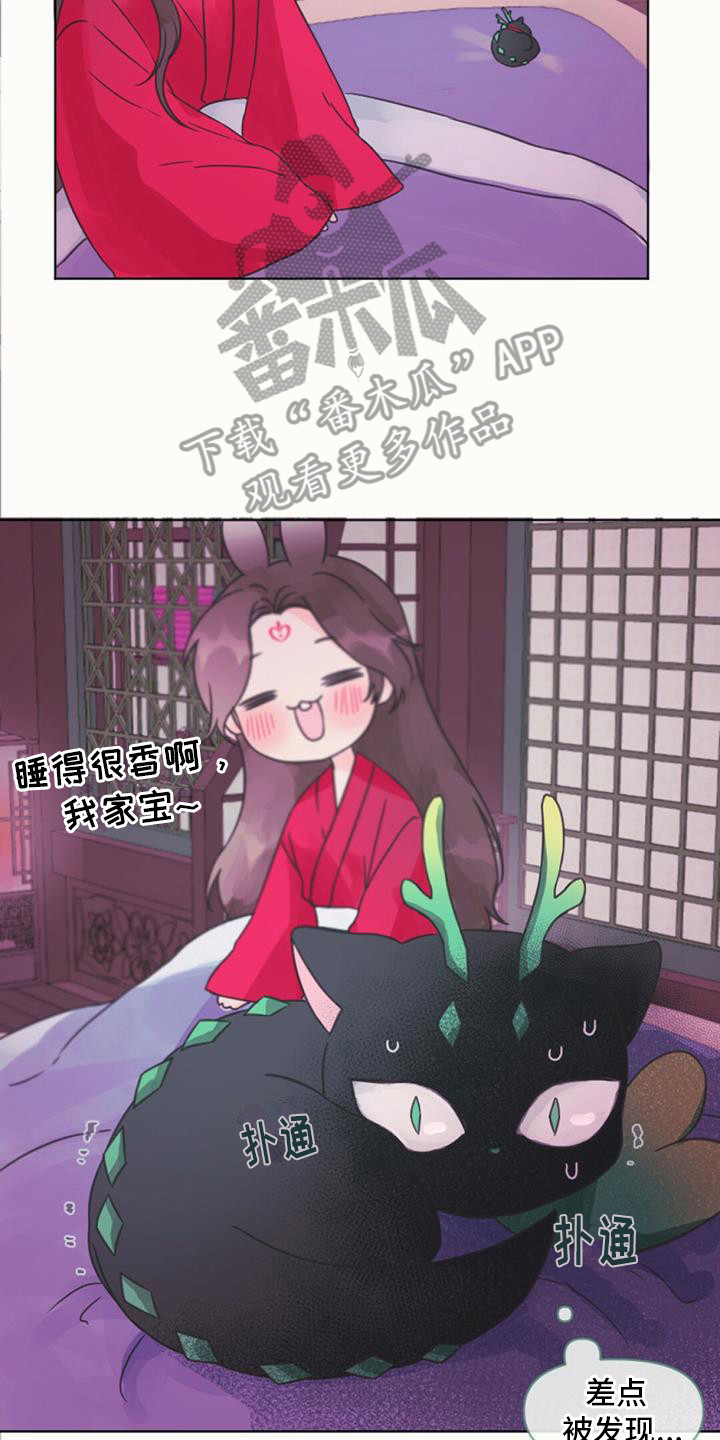 第6章：差点发现17